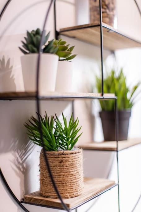 Forest Chic : Maison San Marina Apartment Parmain Екстериор снимка
